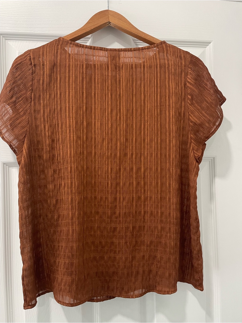 Worthington Rust Brown Textured Short Sleeve Blouse - Picture 2 of 2